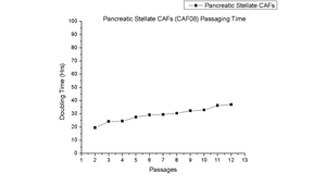 Human Pancreatic Adenocarcinoma Cancer-Associated Fibroblasts (CAFs): 1,000,000 Cells